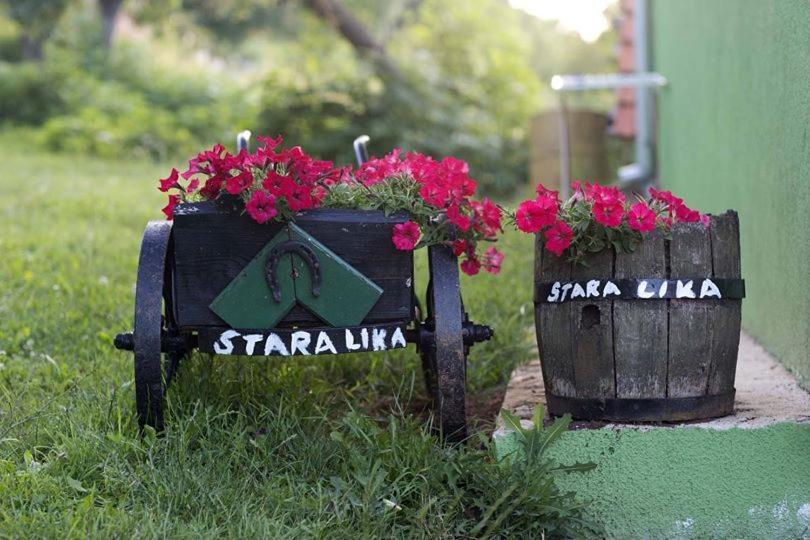 Ivona - Kuca Za Odmor Perusic - Stara Likaアパートメント エクステリア 写真